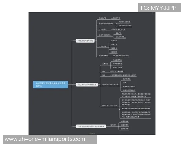 雨果对足球的独特见解与激情探讨，揭示运动背后的文化与哲学
